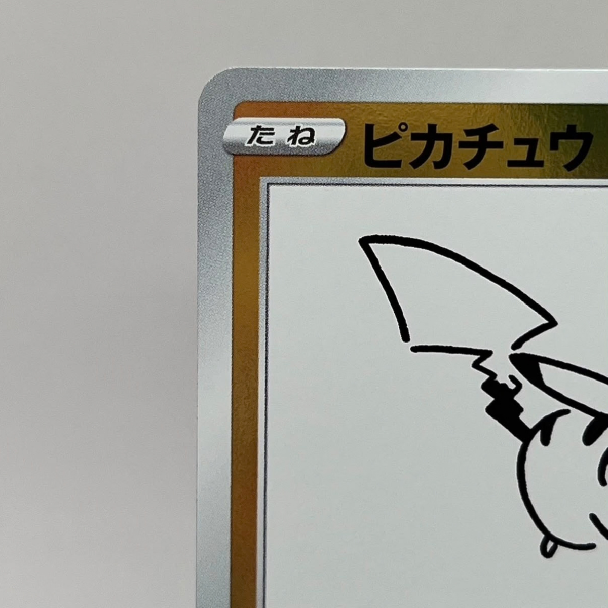 PIKACHU YU NAGABA