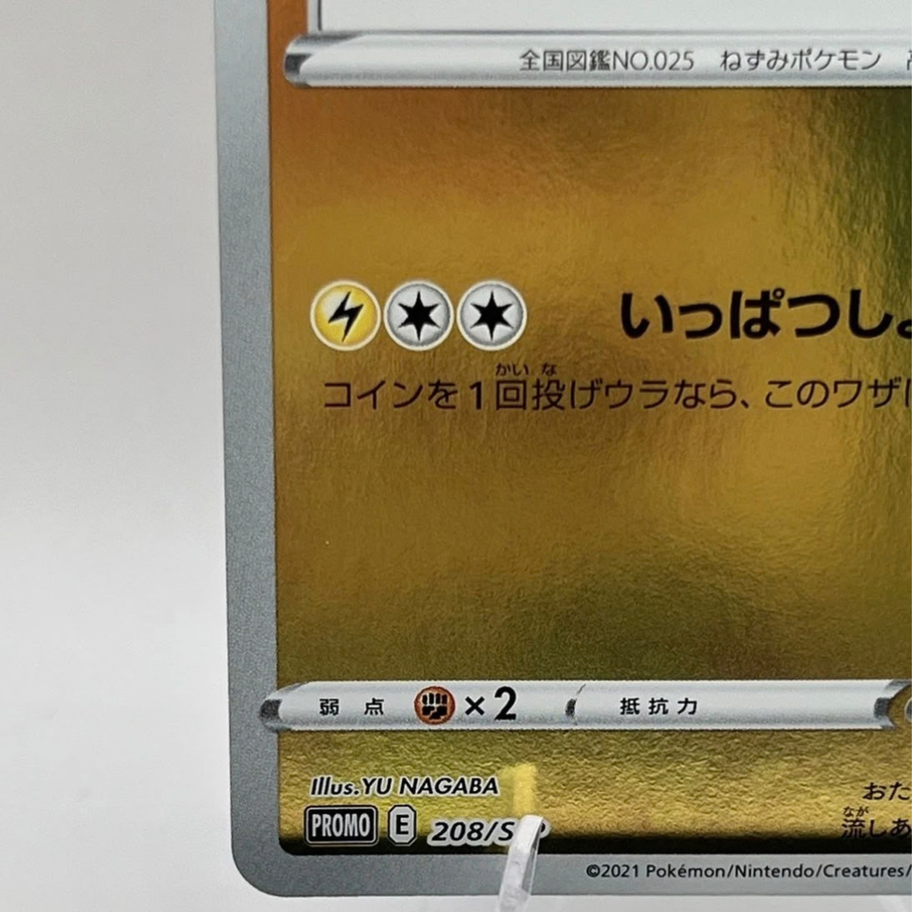 PIKACHU YU NAGABA
