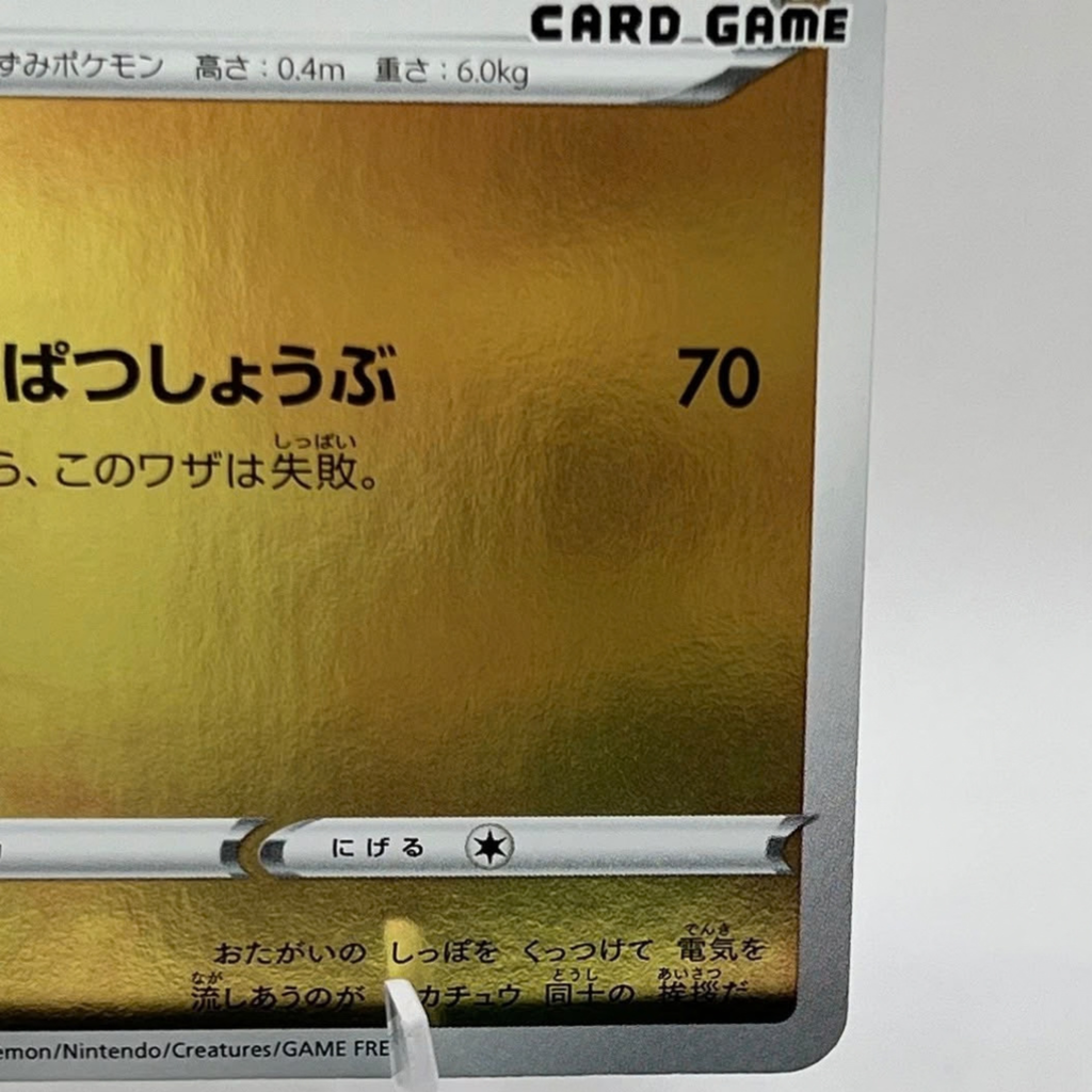 PIKACHU YU NAGABA