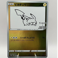 PIKACHU YU NAGABA