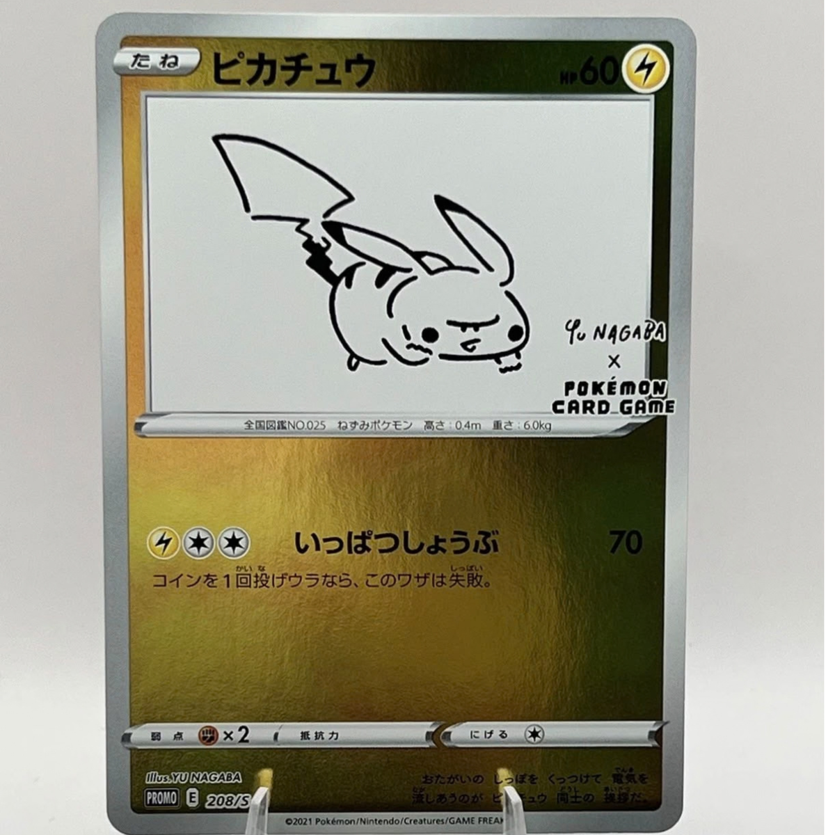 PIKACHU YU NAGABA